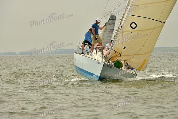 2016 Southern Bay Race Week A_0301