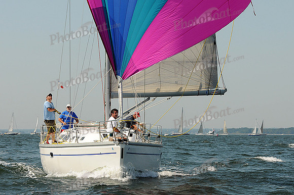 2012 Vineyard Race A 090