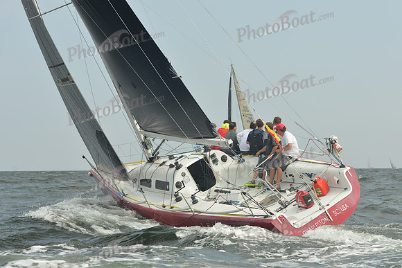 2015 Vineyard Race B 116