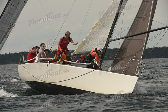 2016 Chester Race Week C_1175