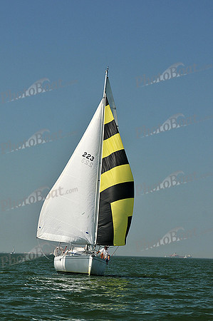 2013 Southern Bay Race Week C 1202