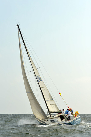 2015 Vineyard Race A 291