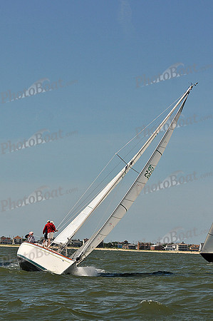 2014 Southern Bay Race Week D 218