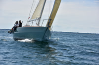 2019 Marblehead to Halifax A_1077