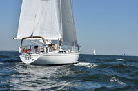 2019 Vineyard Race A_0868