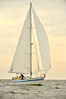 2017 Vineyard Race B_0246