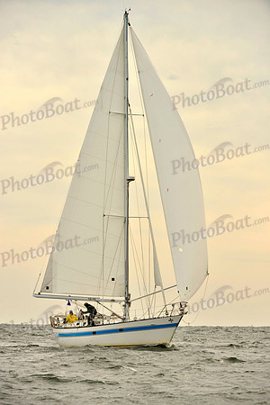 2017 Vineyard Race B_0246