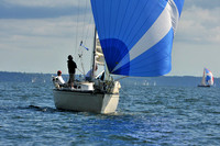 2010 IRC LIS 2028