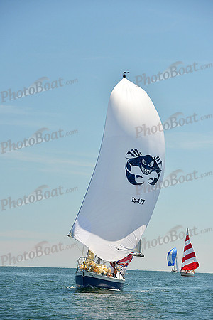 2015 Cape Charles Cup A 638