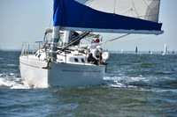 2019 Vineyard Race A_0499