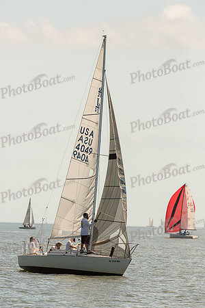 DBP_8290