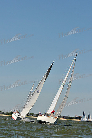 2014 Southern Bay Race Week D 214