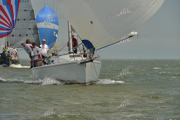 2016 Southern Bay Race Week A_1454