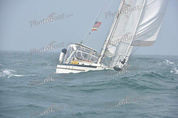 2022 Newport Bermuda_1954
