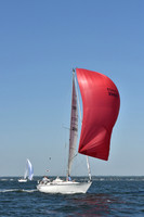 2019 Vineyard Race A_0293