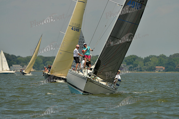 2016 Southern Bay Race Week F_1038