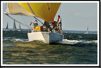 proof_2010_Vineyard_Race_1301