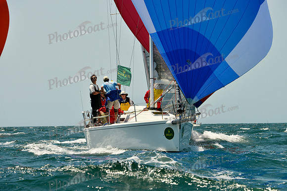 2016 NYYC Race Week A 339