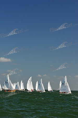 2012 Thistle Midwinters C 046