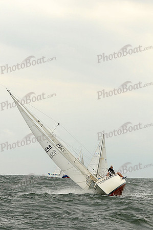 2012 Cape Charles Cup A 1619