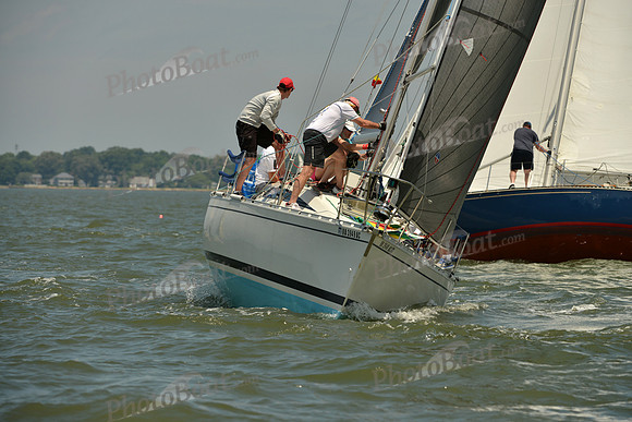 2016 Southern Bay Race Week F_1057