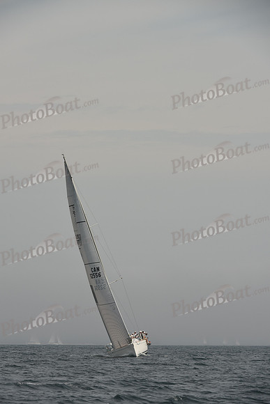 2016 Chester Race Week C_0264
