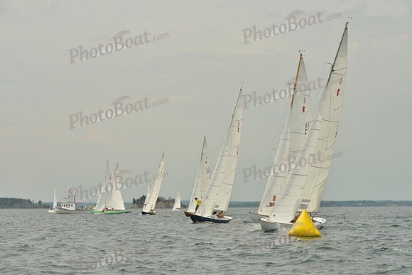 2016 Chester Race Week E_0125