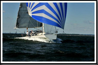 proof_2010_Vineyard_Race_0313