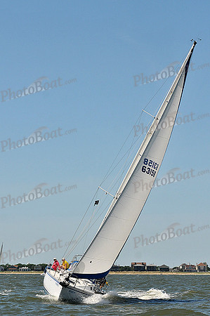 2014 Southern Bay Race Week D 299