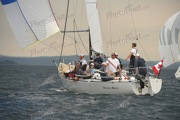 2016 Chester Race Week D_0761