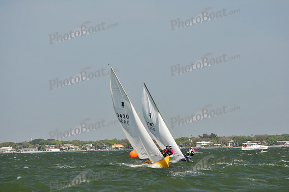 2012 Thistle Midwinters B 500