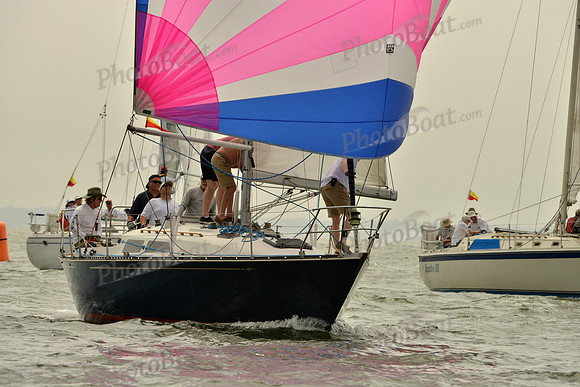 2016 Southern Bay Race Week A_0390