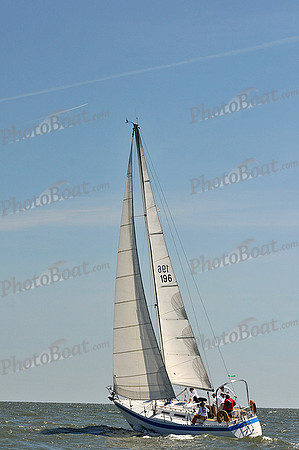 2014 Southern Bay Race Week D 379