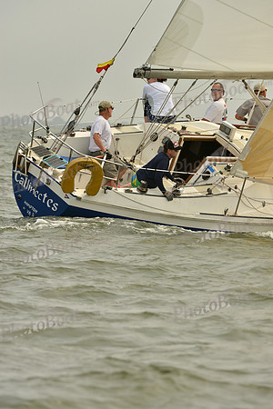 2016 Southern Bay Race Week A_0356