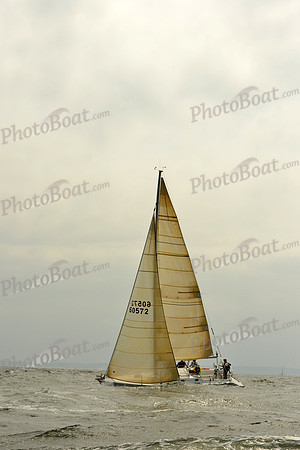 2015 Vineyard Race A 245