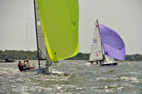Viper USA 220