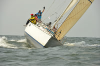 2015 Vineyard Race A 343