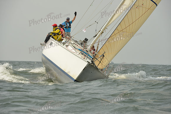 2015 Vineyard Race A 343
