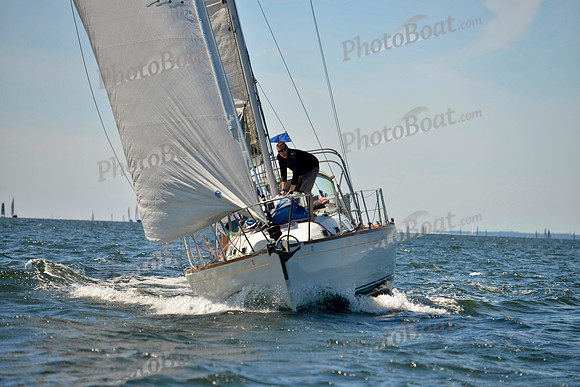 2017 Vineyard Race A_0586