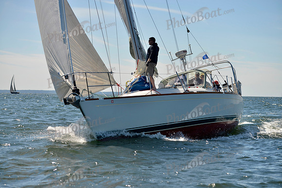2017 Vineyard Race A_0589