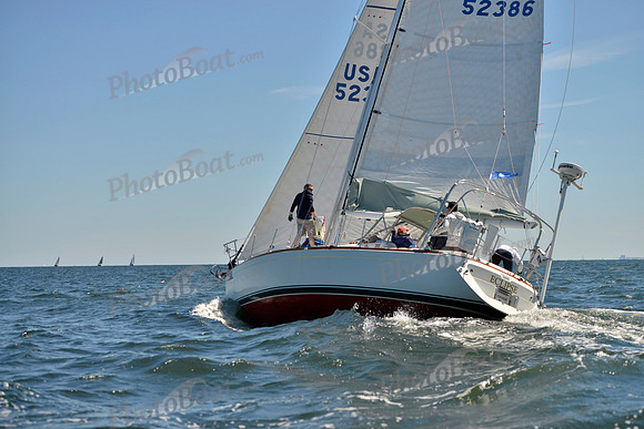 2017 Vineyard Race A_0595