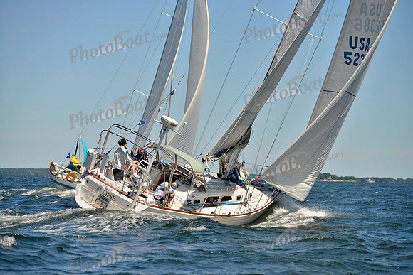 2017 Vineyard Race A_0604