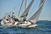 2017 Vineyard Race A_0603