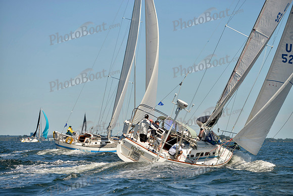 2017 Vineyard Race A_0606