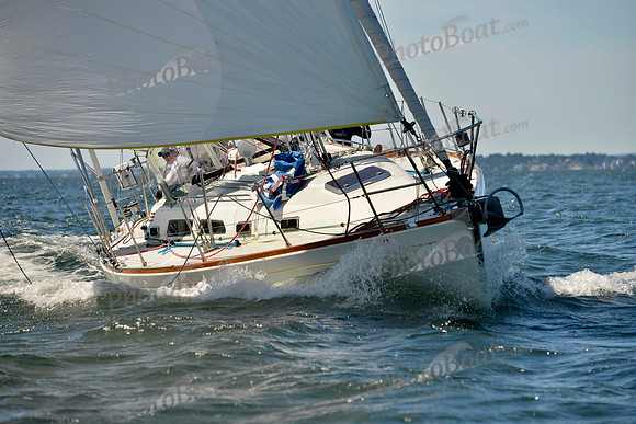 2017 Vineyard Race A_0736