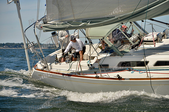 2017 Vineyard Race A_0740