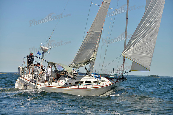 2017 Vineyard Race A_0743