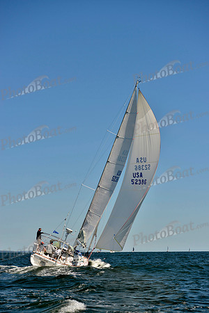 2017 Vineyard Race A_0745