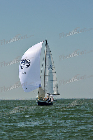 2013 Southern Bay Race Week C 826
