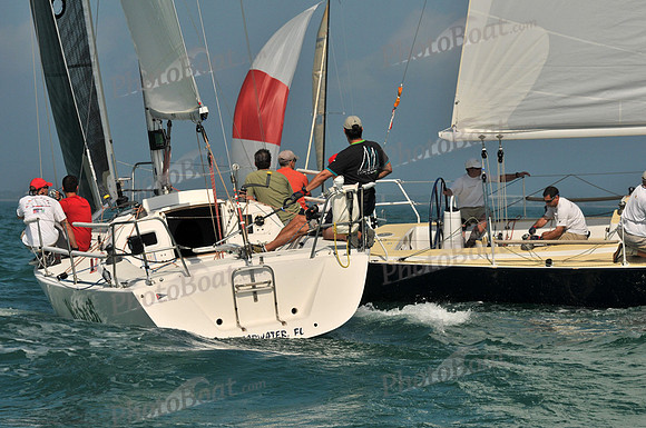 2011_KeyWestRaceWeek_E 557